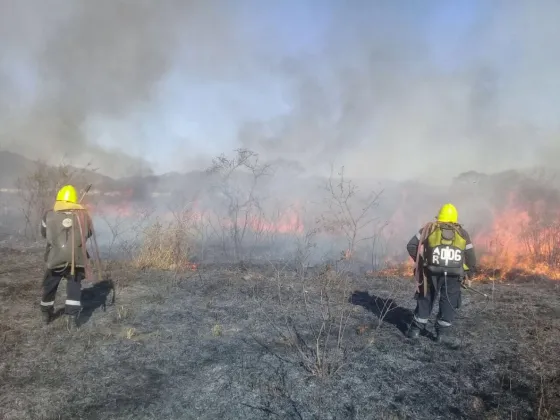 En los últimos dos meses se quemaron 180 hectáreas