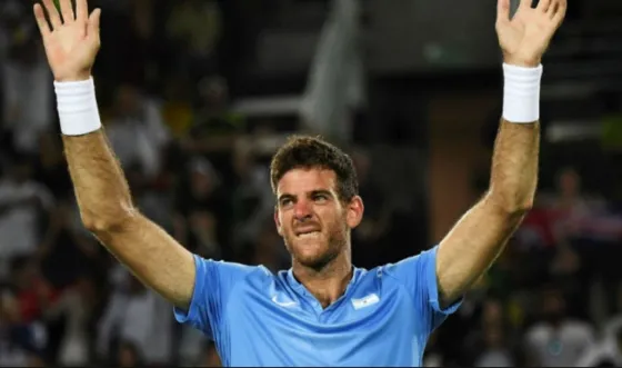 El fin para del Potro