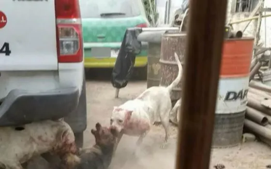 Foto tomada de El Liberal