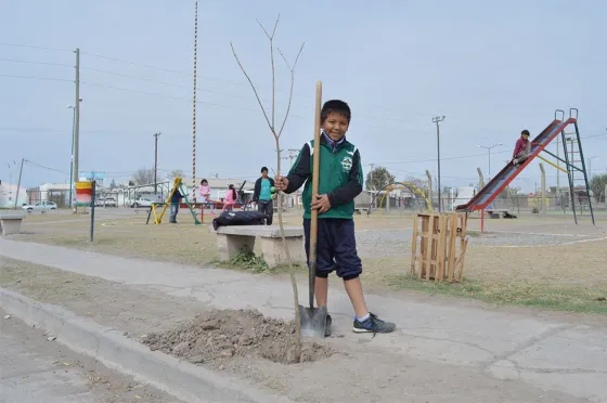 En la “semana del árbol” hubo 197 plantaciones