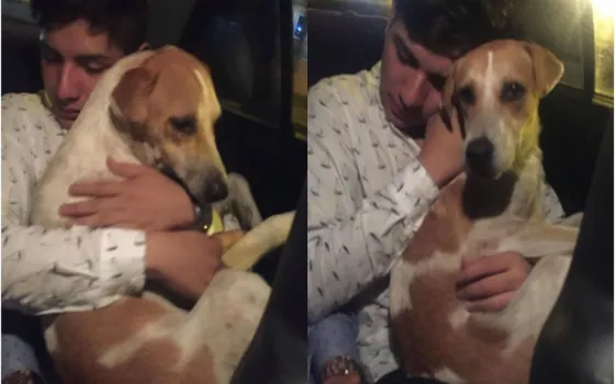 Viral: Se puso en pedo y adoptó a un perro. Video
