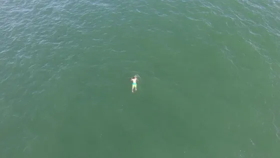 Se lanzó al mar para huir de la policía, pero se encontró con un tiburón. Video