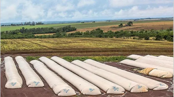 Este es el ranking de provincias que más y menos exportan