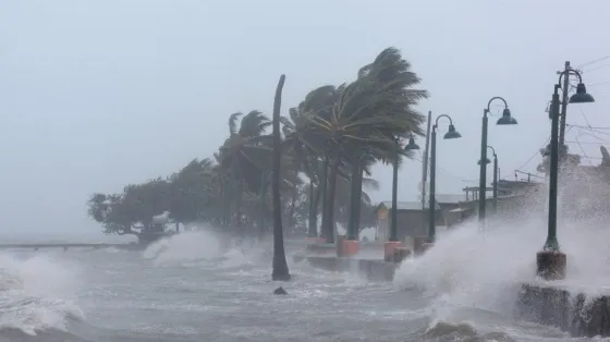 Cómo vive una argentina el huracán IRMA. Video