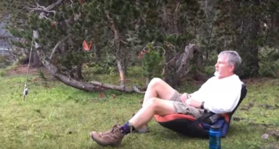 Decenas de insectos reaccionan a la vez ante una 'voz de mando'