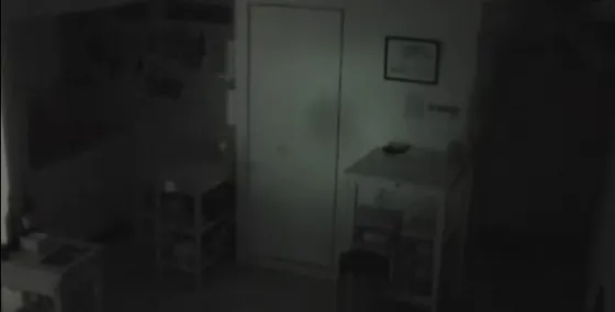 Puso una cámara oculta en su casa y mirá lo que descubrió.Video