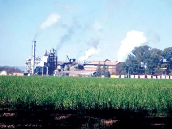 Hace cinco meses que los azucareros del NOA están en conflicto