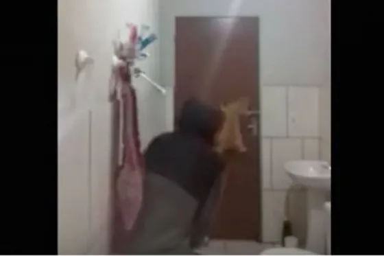 Intentan matar a rata y su cobardía los lleva a la fama. Video