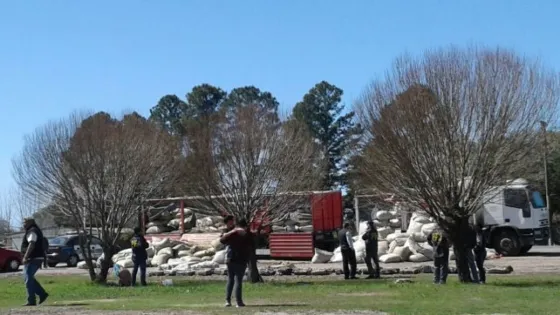 Secuestraron mas de 10 mil kilos de marihuana