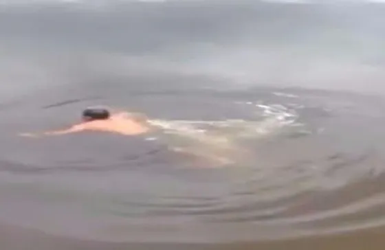 Se creyó un "encantador de cocodrilos" y así terminó. Video