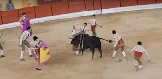 Un joven torero muere ante la mortal embestida de un toro. Video