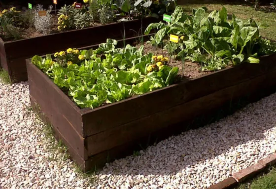 Gauchito Gil: Crearán 50 huertas familiares