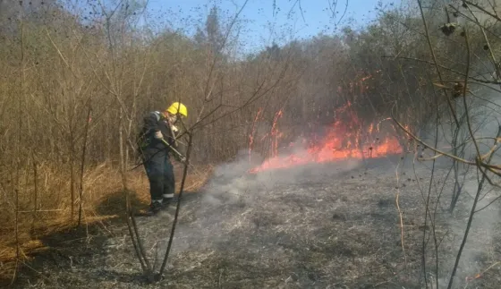 Por el calor, hubo dos grandes incendios en la ciudad