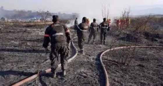 ¿Cómo actuar frente a un incendio?