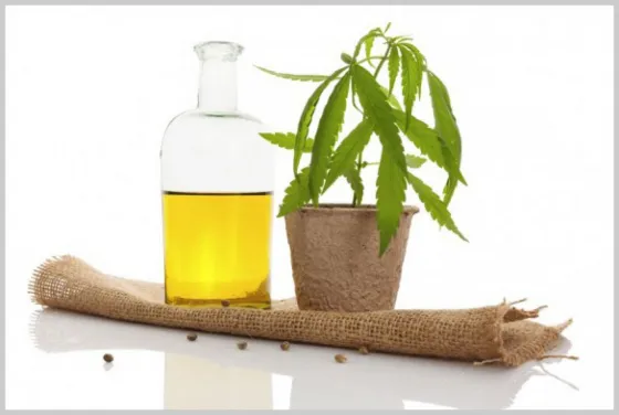 Cannabis Medicinal: El Gobierno Nacional reglamentó la ley