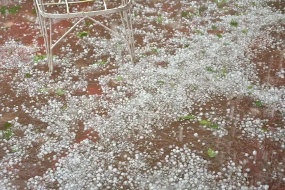GRANIZO en Salvador Mazza. Video
