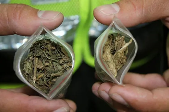 Jóvenes fueron sorprendidos con casi un kilo de marihuana