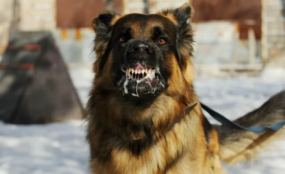 La enfermedad de la que no se habla y que representa una amenaza en el país