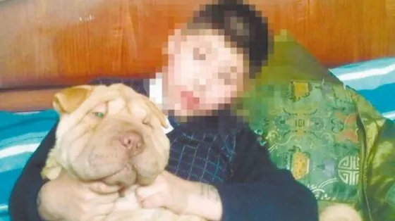 En Bolivia un grupo de 18 abogados defiende a un perro que iba a ser sacrificado. Vídeo