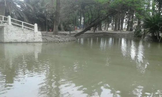 Solicitan a los vecinos CUIDAR el lago del Parque San Martín