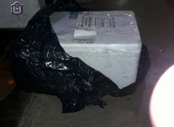 ¿Restos humanos en una encomienda?