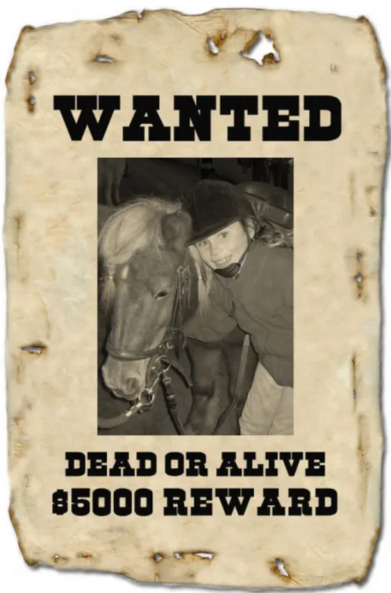 Recuperaron un caballo robado