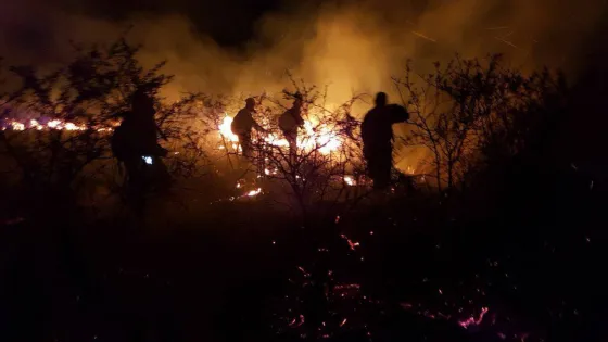 El Tribunal Electoral Federal sería el responsable del mayor incendio de los últimos tiempos