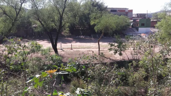 Foto de Raúl Costes, periodista de Salvador Mazza