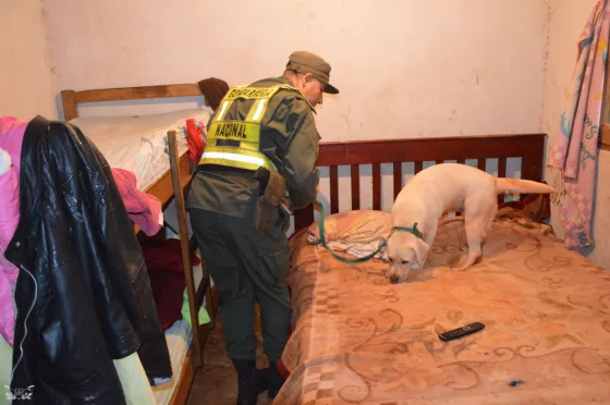 Allanaron 22 kilos de marihuana  y cocaína