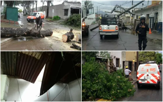 Árboles, postes caídos y voladura de techos, el saldo de la tormenta