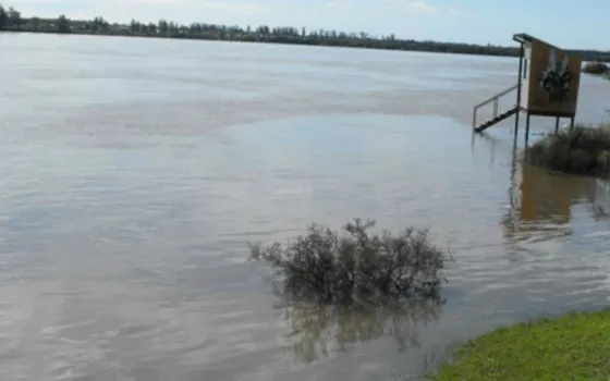 Uruguayo es el dueño de una "pesca millonaria". Video