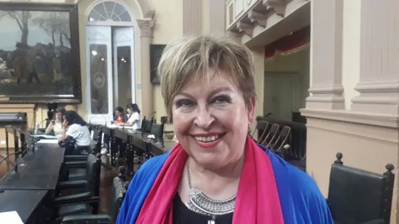 Avanza el proyecto para crear la figura del defensor del niño en la provincia