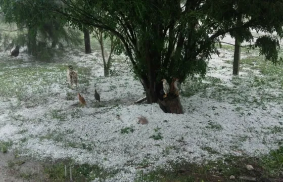 Una fuerte tormenta con granizo sorprendió a los tucumanos. Video