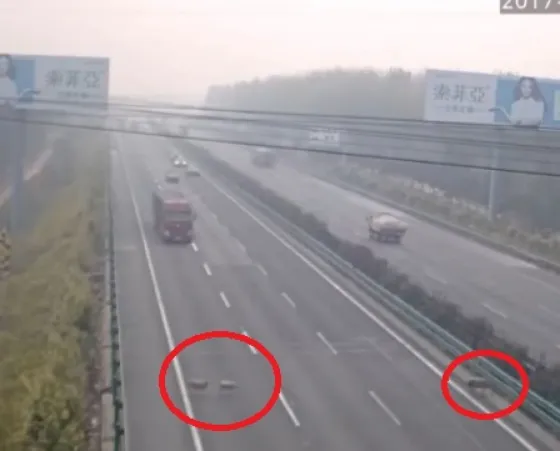 Tres ovejas provocan un accidente en China