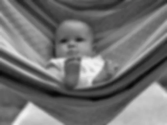 Olvidaron a su bebé en una hamaca y murió de una forma cruel