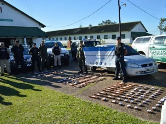 Un perro encontró 60 kilos de marihuana