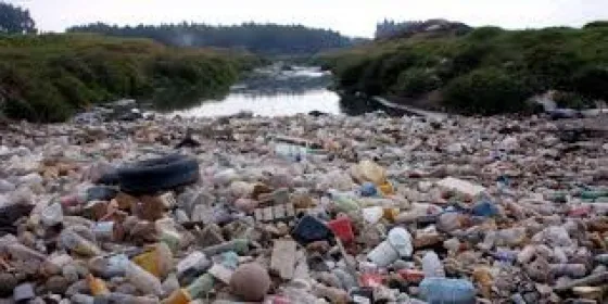 “Es mentira que en la provincia hay una política ambiental”
