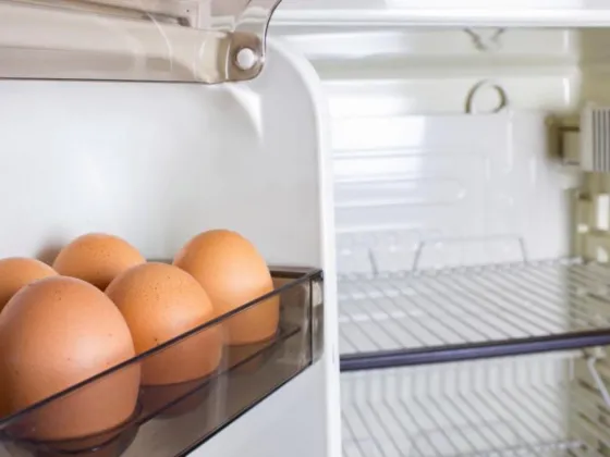 Por qué no hay guardar los huevos en la puerta de la heladera