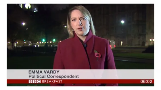 Un informe periodístico fue interrumpido por sonidos sexuales (VÌDEO)