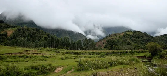 Se cayó una avioneta en Los Toldos: Hay dos muertos y un herido