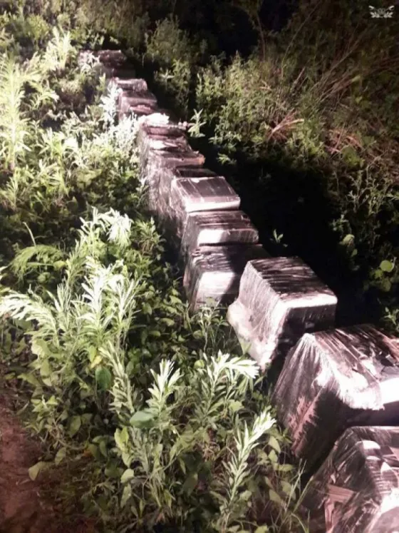 Encontraron 600 kilos de marihuana escondidos en la maleza