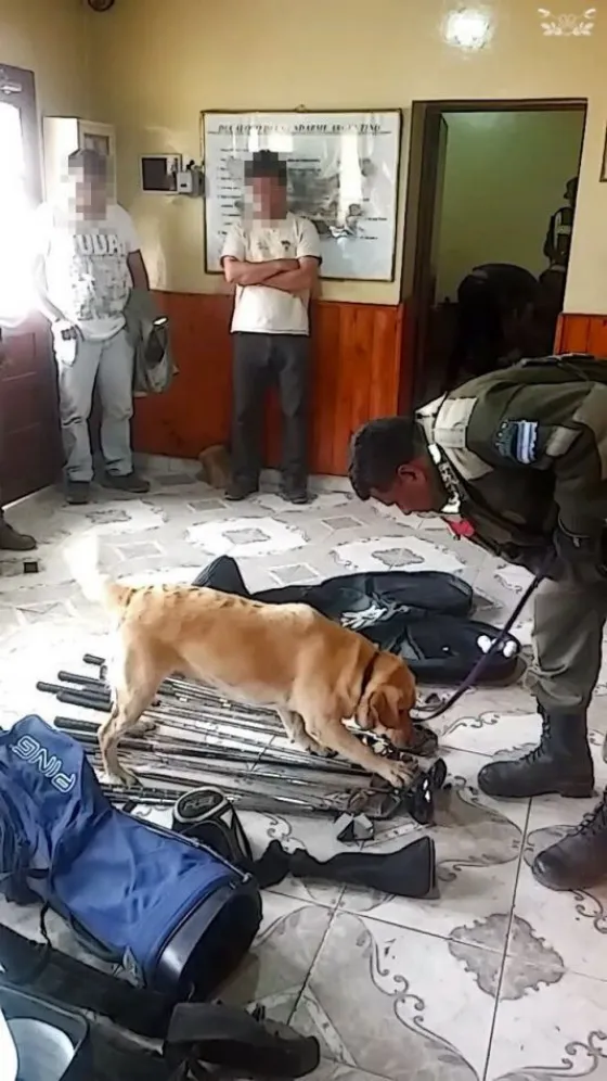 INCREÍBLE: Desarmaron palos de golf y encontraron drogas (Vídeo)