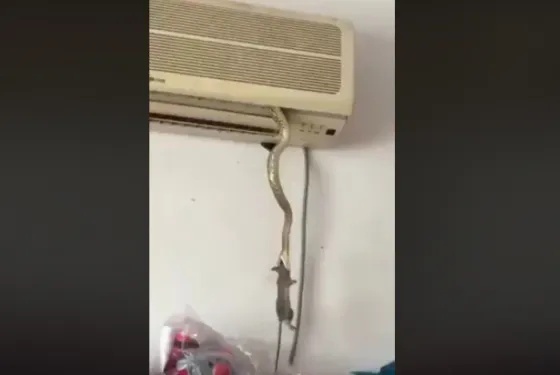 Increíble aparición en un aire acondicionado. Video