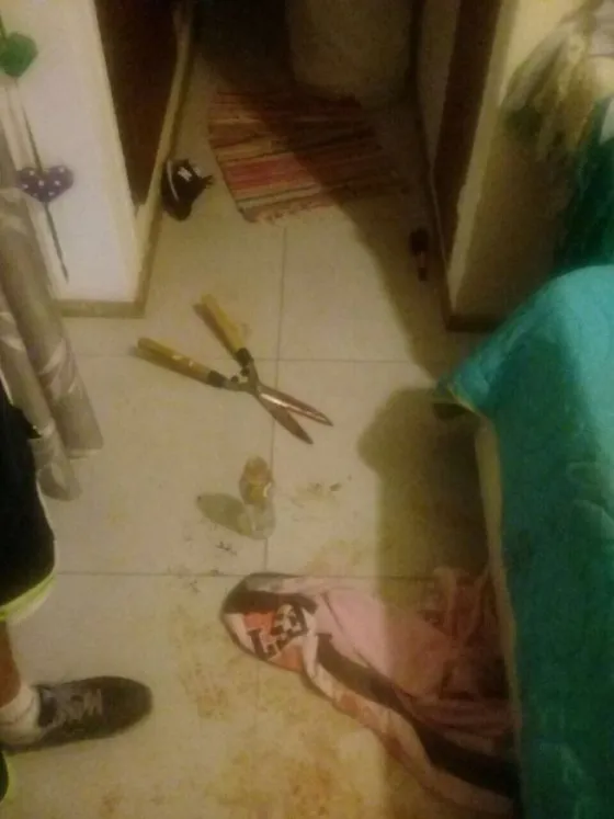 Imputan por "lesiones gravísimas" a la mujer que le cortó el pene a un hombre