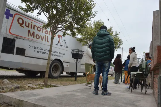 Realizan castraciones gratuitas en Solidaridad