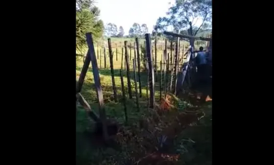 Filmó a un vecino teniendo relaciones con su vaca y lo denunció. Video