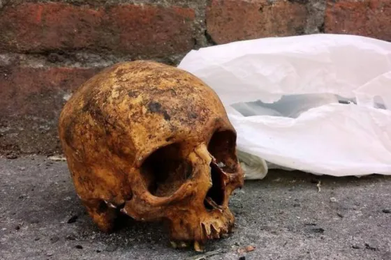 Investigan el hallazgo de un cráneo en General Güemes
