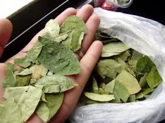 Decomisaron 200 kilos de hojas de coca