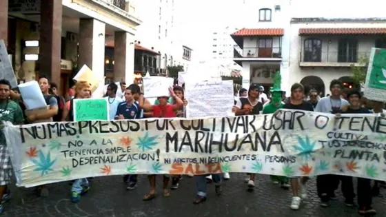Salta marcha por la marihuana: "No más presos por autocultivo"