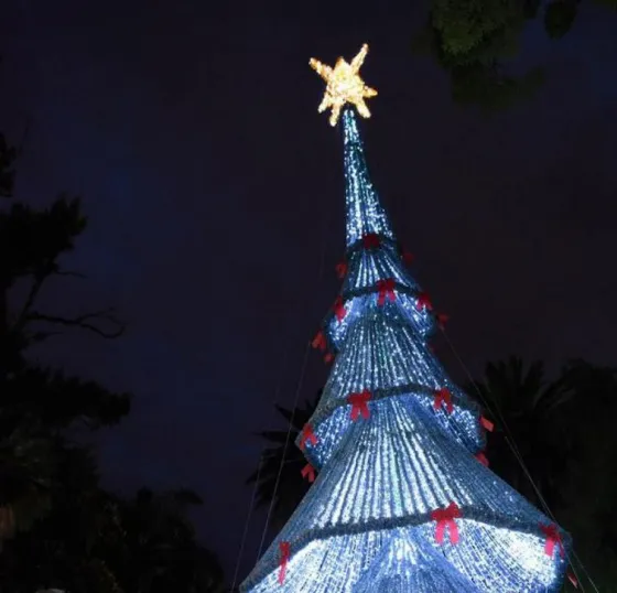 Mañana se encenderá el árbol de navidad de plaza 9 de Julio